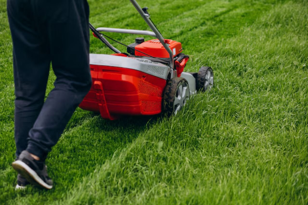 Premier Lawn Care and Landscaping Services in Charleston